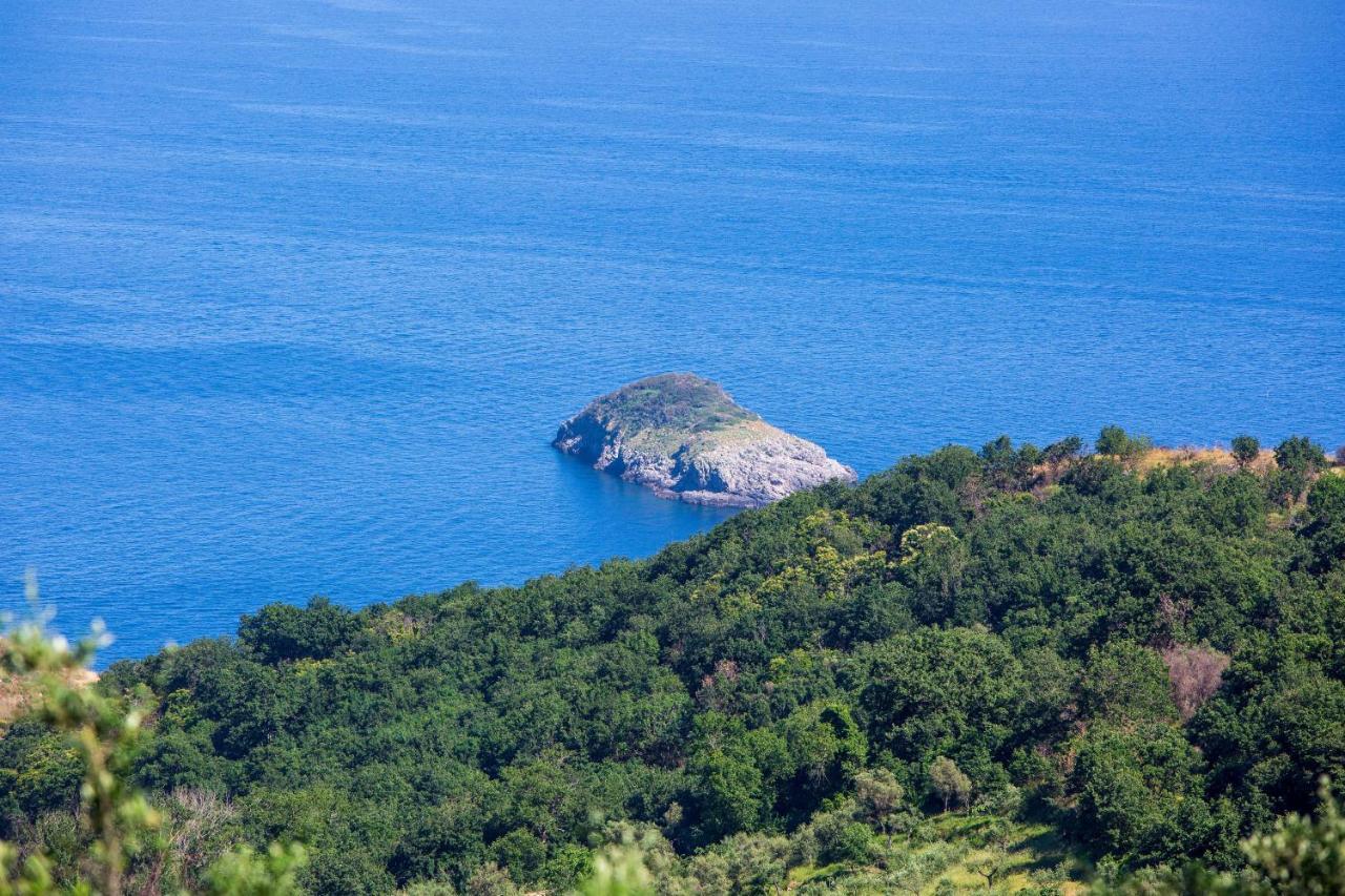 Villa Fedora Sea&Stars Massa Lubrense Buitenkant foto