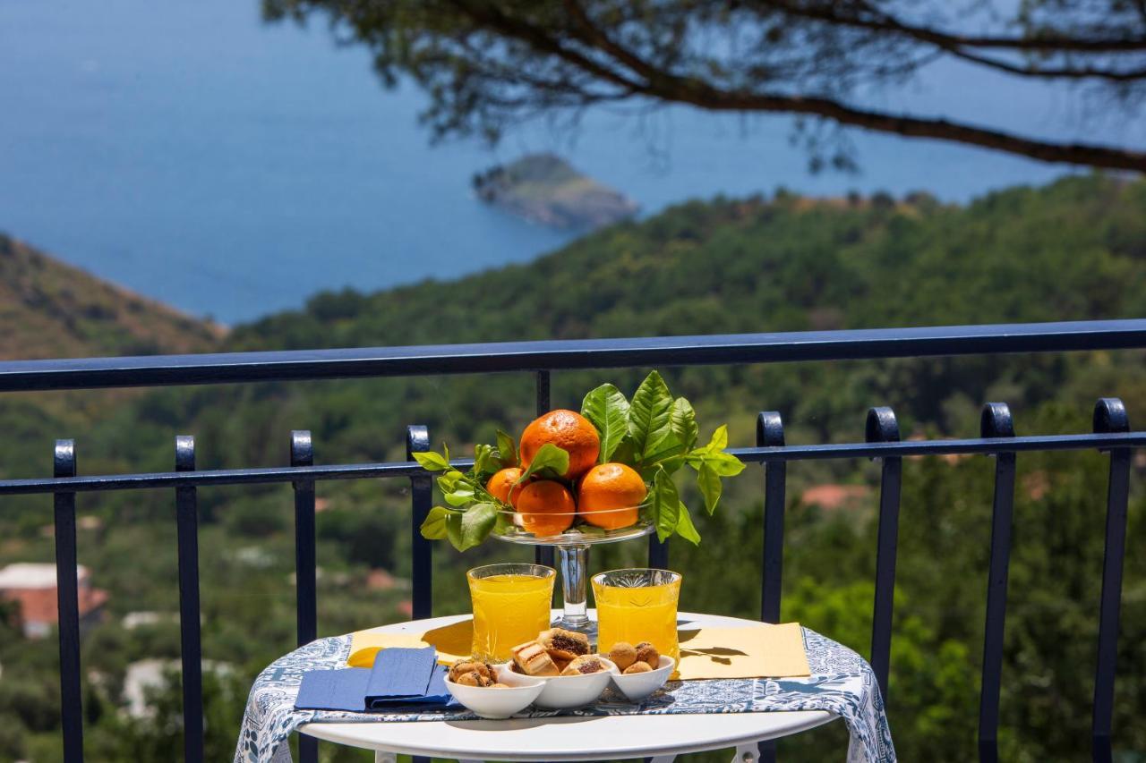 Villa Fedora Sea&Stars Massa Lubrense Buitenkant foto