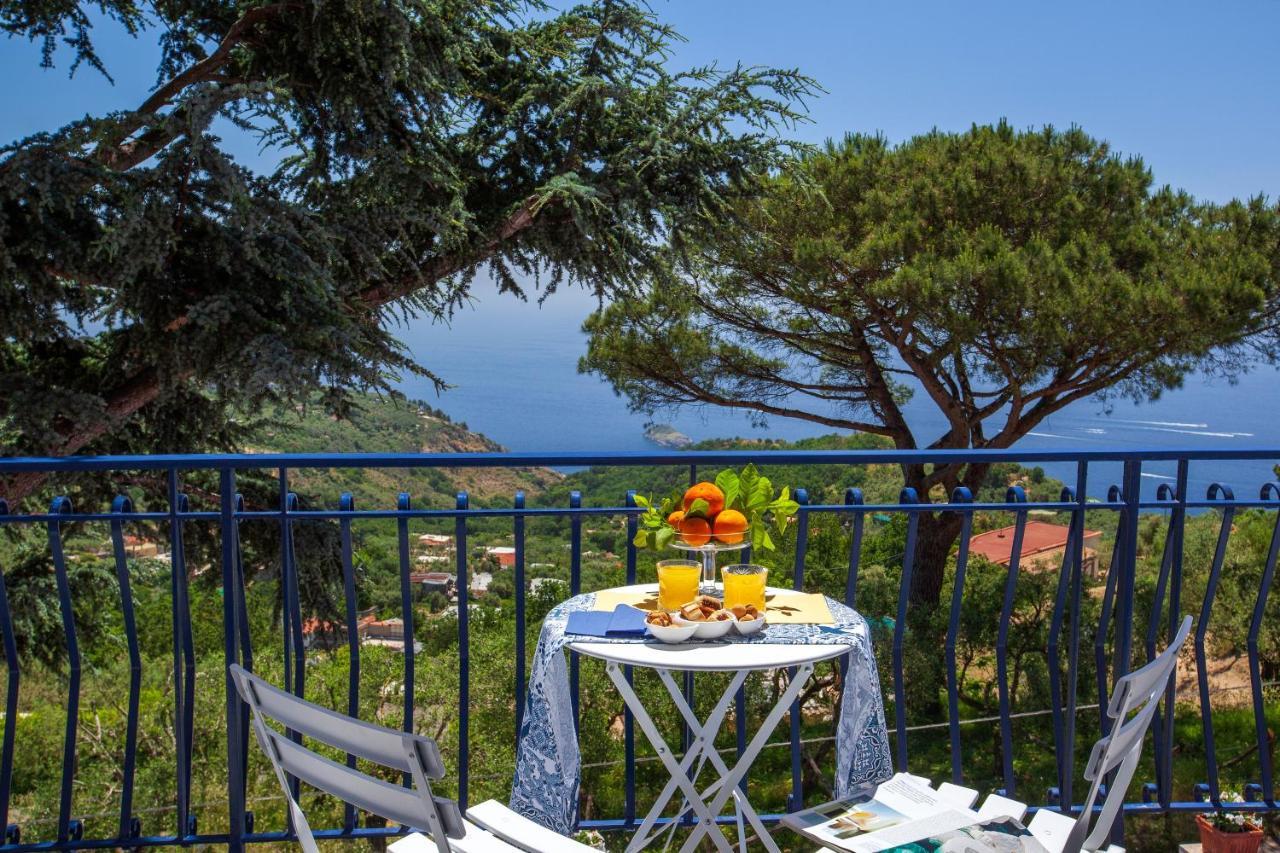 Villa Fedora Sea&Stars Massa Lubrense Buitenkant foto